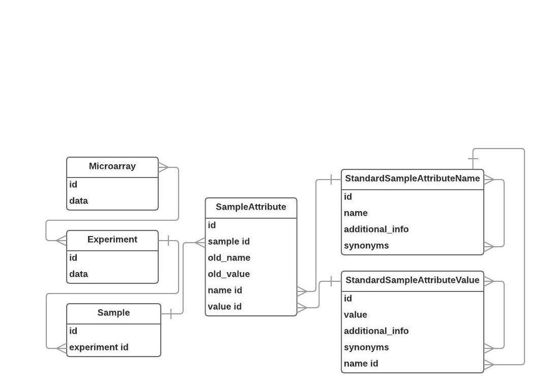 Database Structure